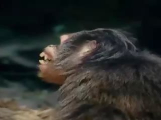 Tarzan-x shame na jane - část 1, volný dospělý video 88